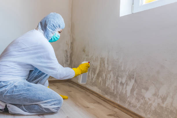 Mold Remediation specialist working in Manassas