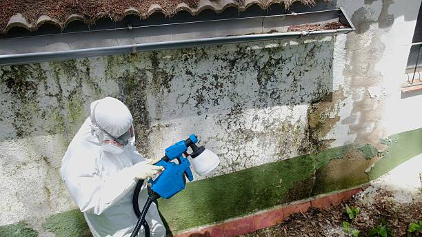 Mold Remediation service in Manassas, Manassas, VA
